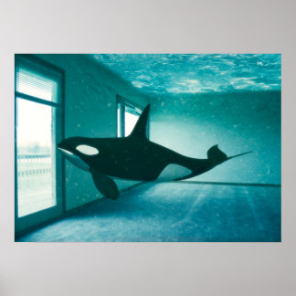 Póster Apartamento Assassino