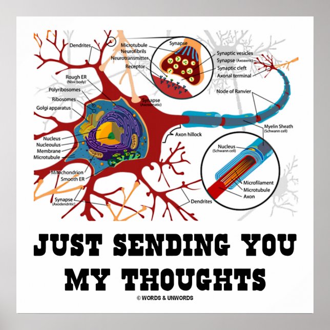 Póster Apenas Enviando Meus Pensamentos Neuron Synapes (Frente)