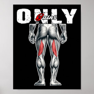 Poster Apenas ganha o Gym4 de criação de banco