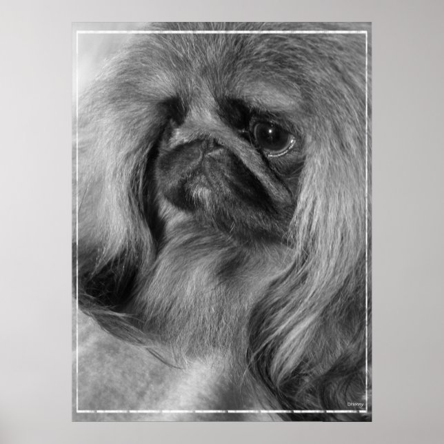 Póster Apenas Jeroen (Frente)