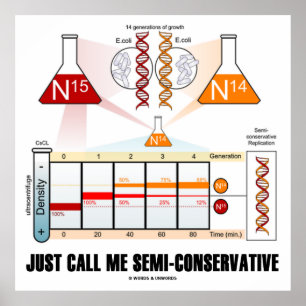 Poster Apenas Me Chame De Semi-Conservador (Replicação 