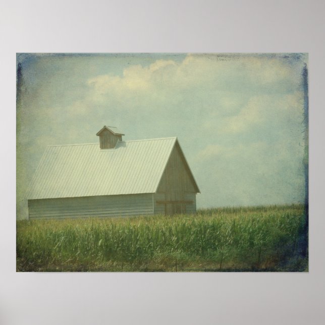 Póster Apenas Milho Para Empresa (Frente)