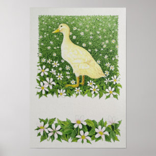 Póster Apenas olhando