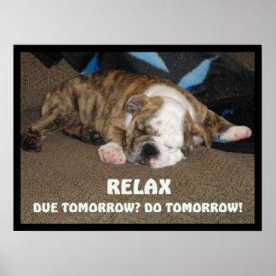 Póster Apenas relaxe