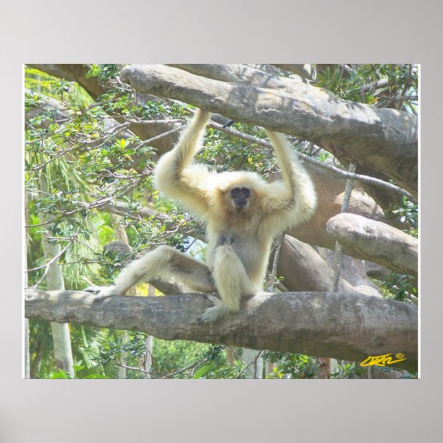 Póster Apenas Saindo (Frente)