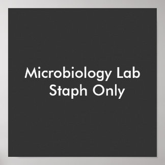 Póster Apenas Staph do Laboratório de Microbiologia
