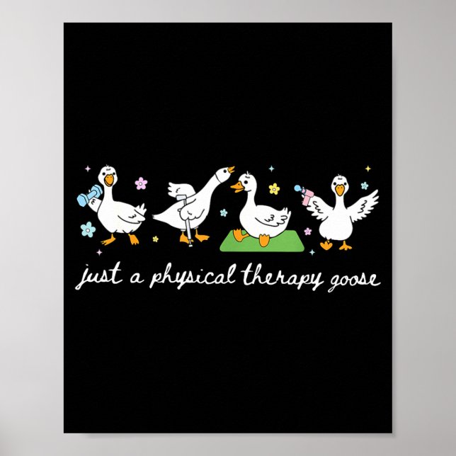 Poster Apenas Terapia Física Ganso Pt Físico (Frente)