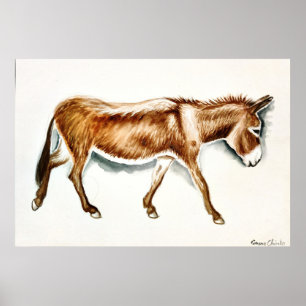 Poster Apenas um burro