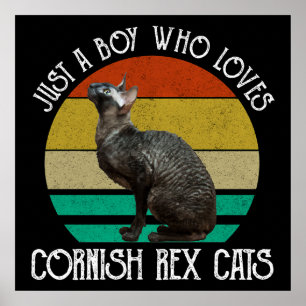 Poster Apenas um menino que ama gatos Cornish Rex