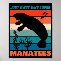 Apenas Um Menino Que Ama Os Manatins - Retro Anima