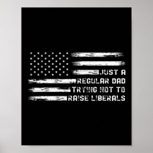 Poster Apenas Um Pai Normal Tentando Não Criar Liberais F