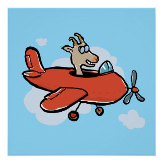 Póster apenas uma cabra voando num avião