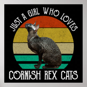 Poster Apenas Uma Garota Que Ama Gatos Cornish Rex