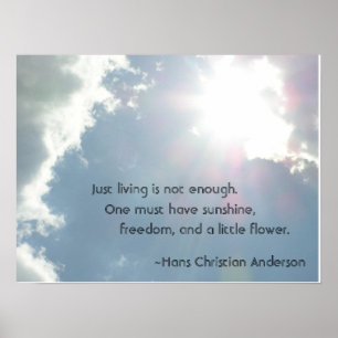 Póster Apenas viver não é bastante