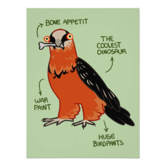 Póster Apetite Óssea