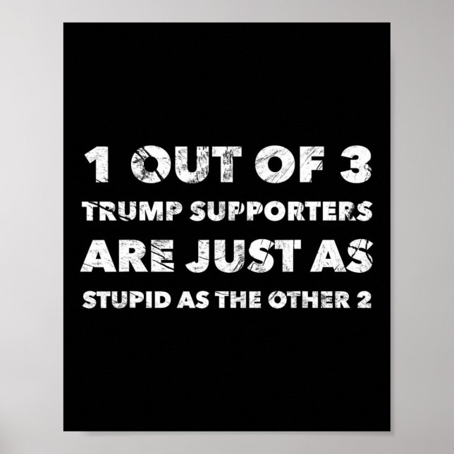 Poster Apoiadores De Trump São Apenas Estúpidos (Frente)