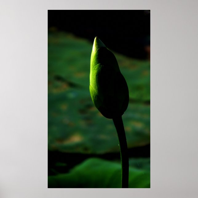 Póster Apontado para a grandeza (Frente)