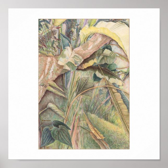 Poster Após A Chuva © 2010 (Frente)