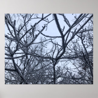 Poster Após A Tempestade De Gelo