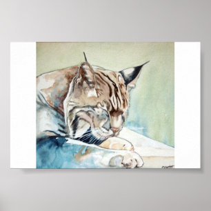 Póster Após o comensal Washup - lince