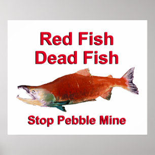 Póster Após o Salmão - Parar o Pebble Mine