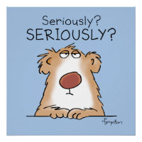 APOSTO SERIAMENTE ESCÉTICO de Boynton