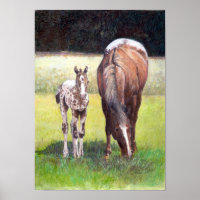 Appaloosa Mare e Foal Retrato