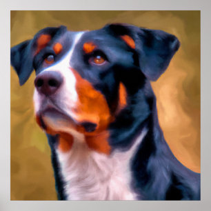 Poster Appenzeller Sennenhund - Retrato De Cachorro