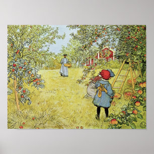 Póster Apple colhe