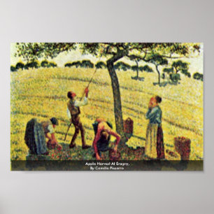 Póster Apple colhe em Eragny, por Camille Pissarro