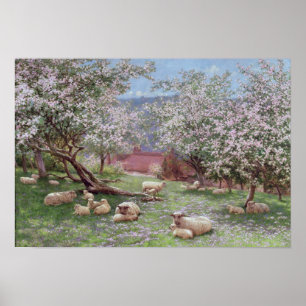 Póster Appleblossom