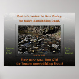 Poster Aprenda a Viver Viver para Aprender 2