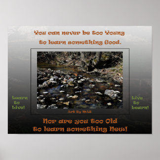 Poster Aprenda a Viver Viver para Aprender 2