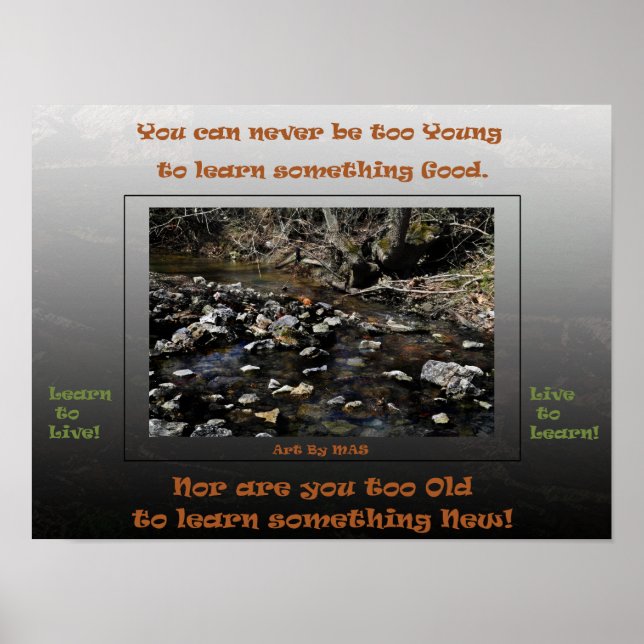 Poster Aprenda a Viver Viver para Aprender 2 (Frente)