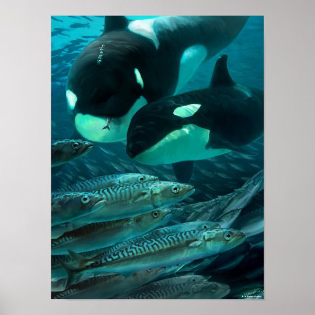 Poster Aprendendo a caçar sarda (Frente)