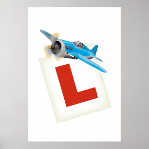 Poster Aprendendo a voar