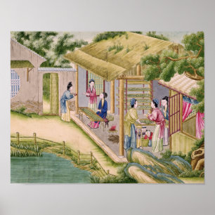 Póster Aprendendo sobre os bichos-da-seda