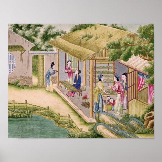 Póster Aprendendo sobre os bichos-da-seda (Frente)