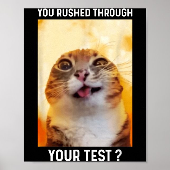 Poster Apressado Pelo Teste Dia de Teste Divertido Profes (Frente)