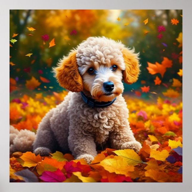 Poster Apricot Poodle Puppy em Folhas de Queda (Frente)