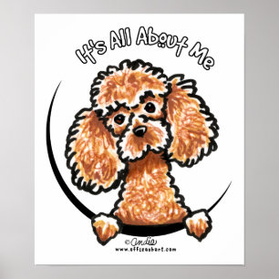Póster Apricot Toy Miniature Poodle IAAM