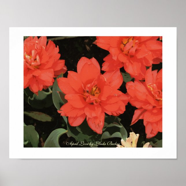 Póster April Love por Linda Becker (Frente)