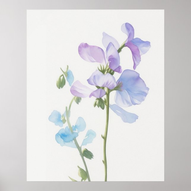 Poster April Sweet Pea Birth Flower (Frente)