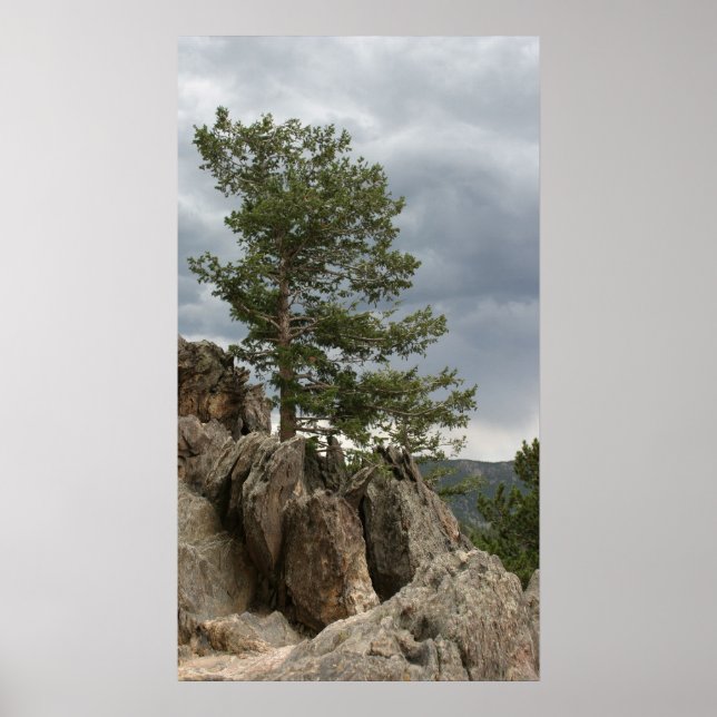 Poster Aproximando-se da Tempestade (Frente)