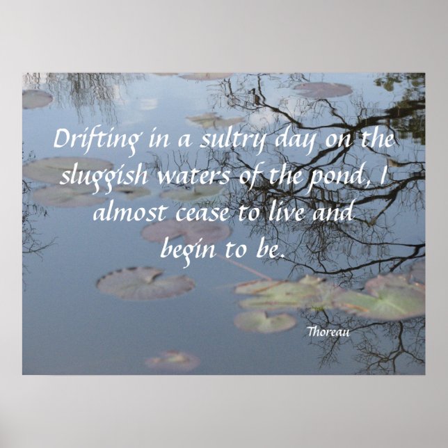 Póster Aproximando-se do Pond (Frente)