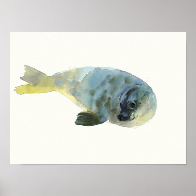 Poster Aqua Green (Frente)