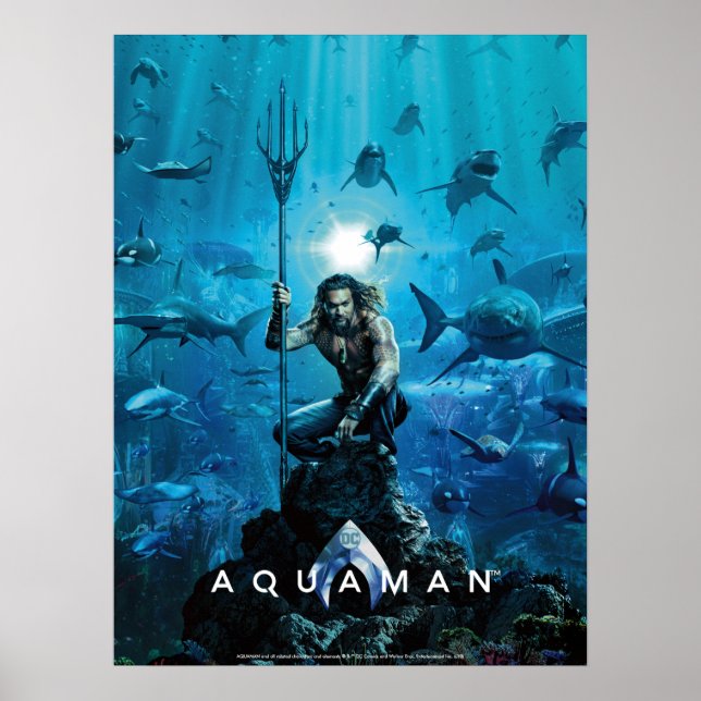 Poster Aquaman | Prince Orin Com Animais Aquáticos (Frente)