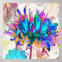 Aquarela Atormentada Rainbow Cactus Dahlia