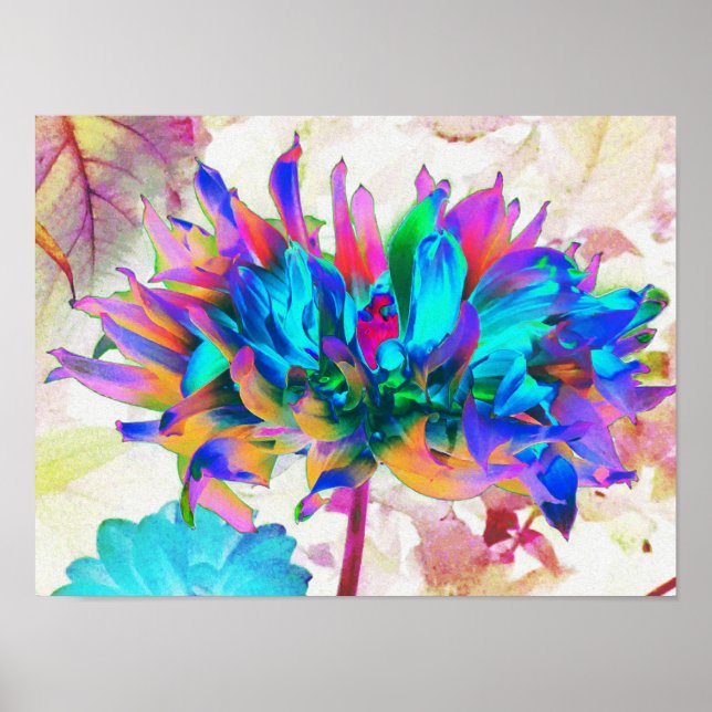Poster Aquarela Atormentada Rainbow Cactus Dahlia (Frente)