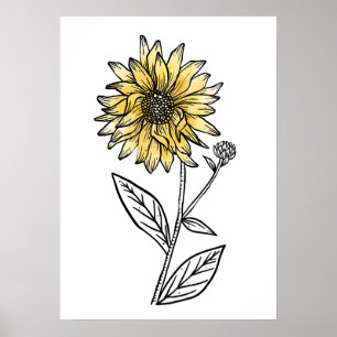 Poster Aquarela botânica estética arte linha girassol